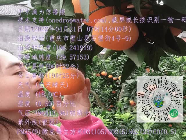 96a0d8a4fac7cc681ab80980a6e40eda.mp4