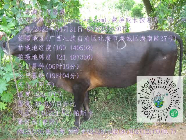 0.mp4