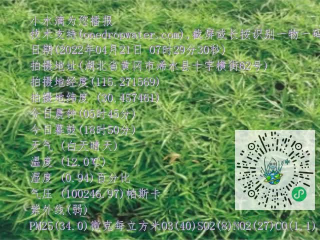 0.mp4