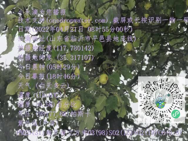 0.mp4