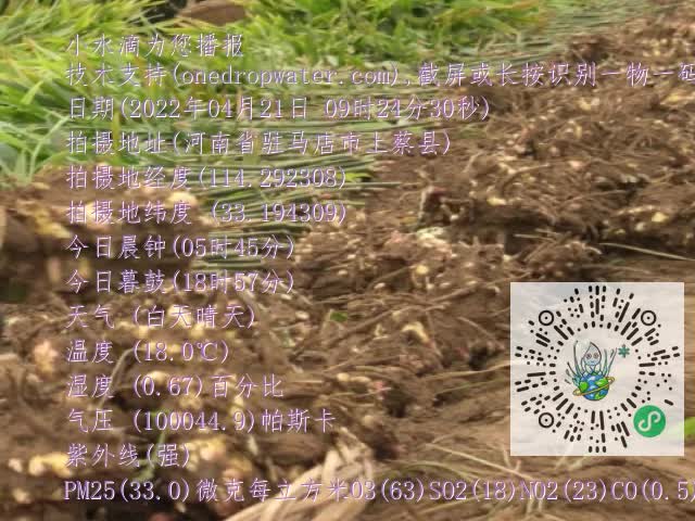 0.mp4
