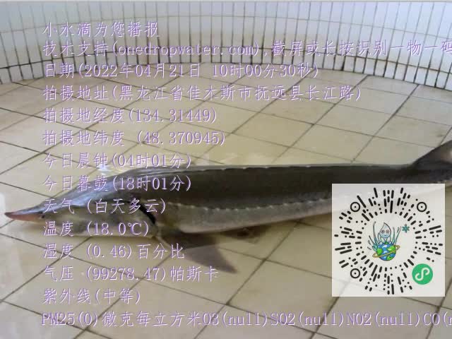 0.mp4