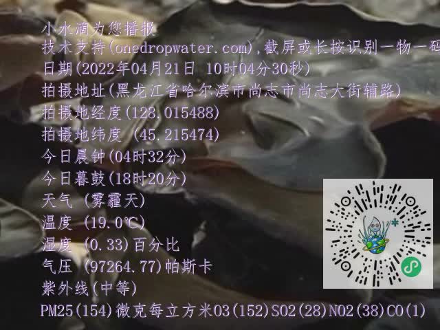 0.mp4