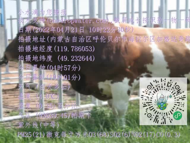0.mp4