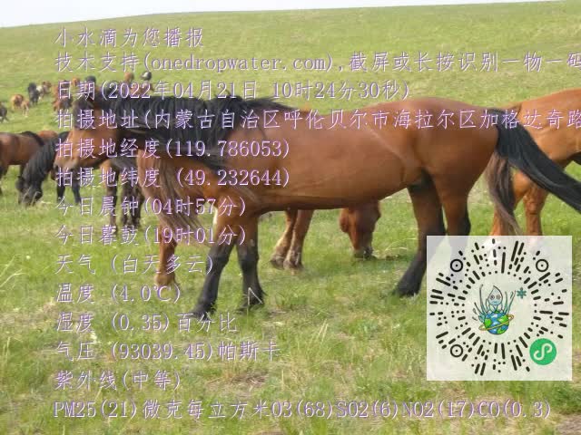 0.mp4