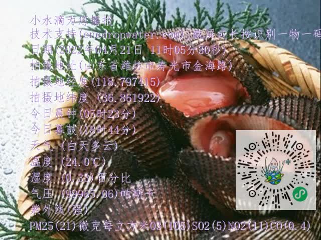 0.mp4