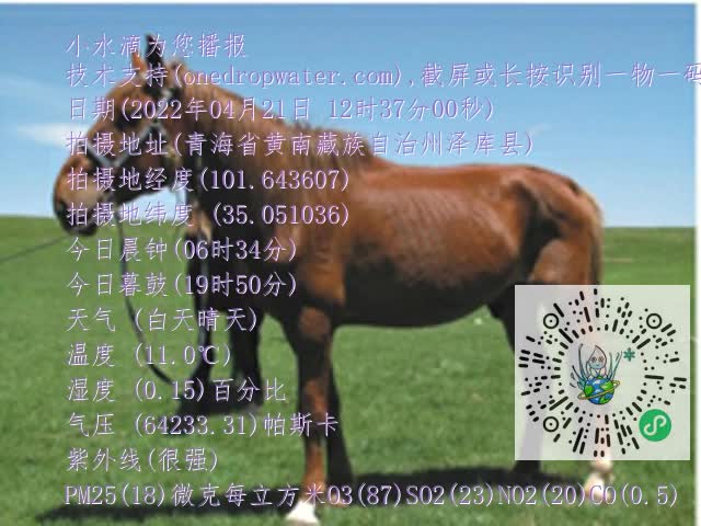 0.mp4