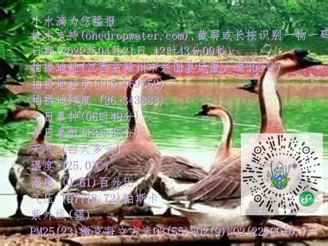 0.mp4