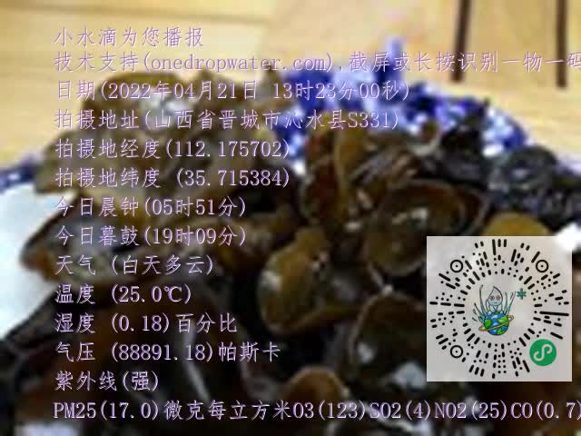0.mp4