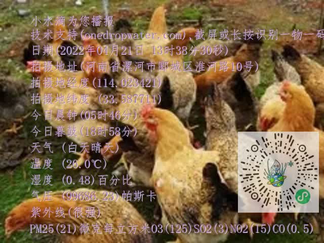 0.mp4