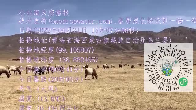 Fo0C6G1rFs30OAOzalwnoq21B2PQmp4