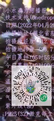 Ft6J2jDerP2pcMzTi6jCQBZVEfZcmp4