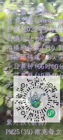 FqZAggiUfVpPAPPovFQZg89rbwyxmp4