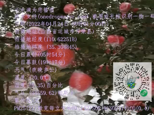 8cfd960e6b4a910dbb1d0699c1b1652b.mp4