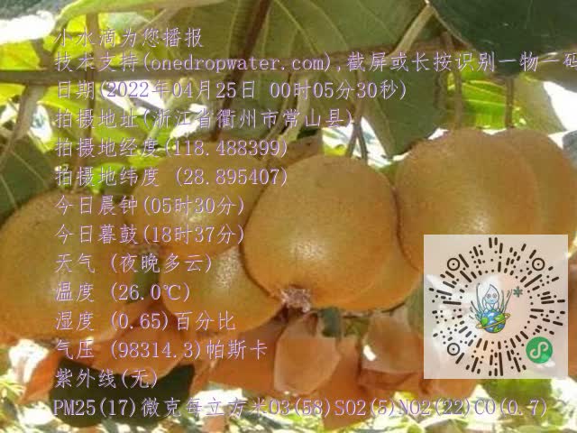 cf396d90520328060e002c0381a78e2e.mp4