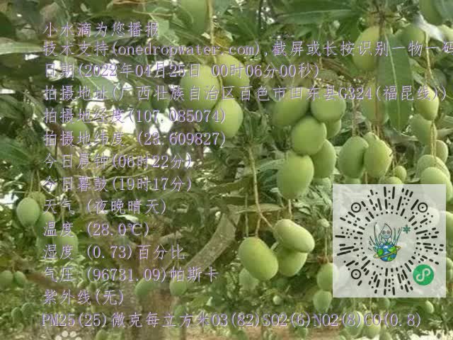 8ef11e115cff7ad3080e45ead4504c5b.mp4