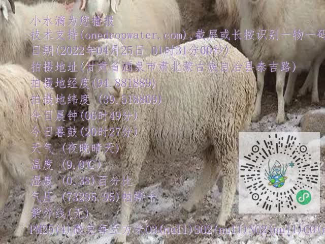 0.mp4