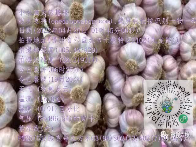 0.mp4