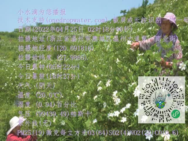 0.mp4