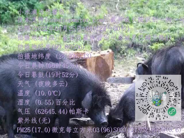 0.mp4