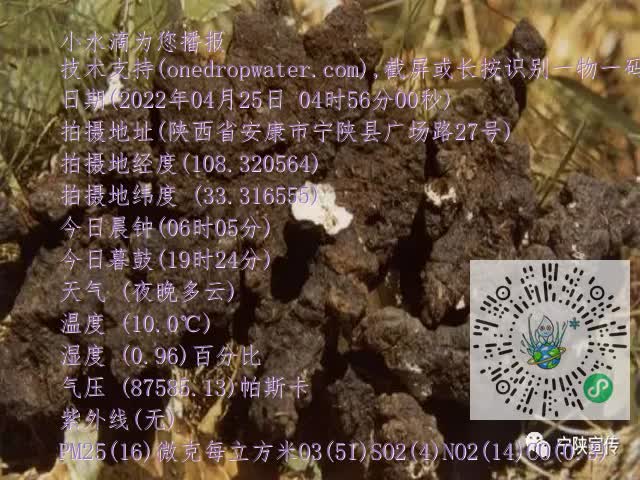 0.mp4