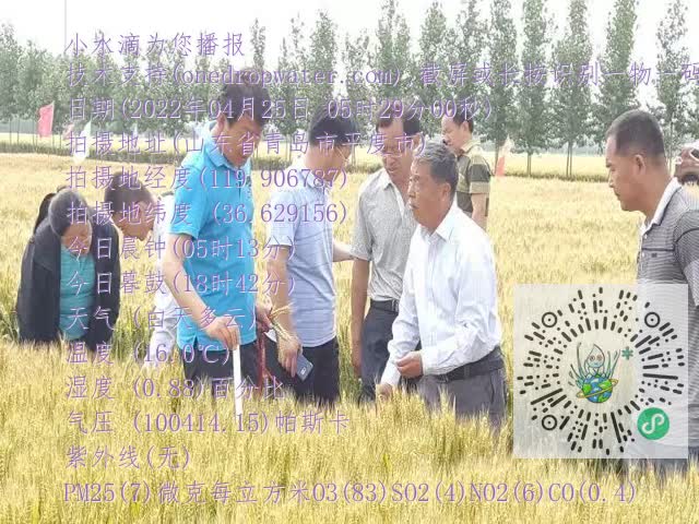 0.mp4
