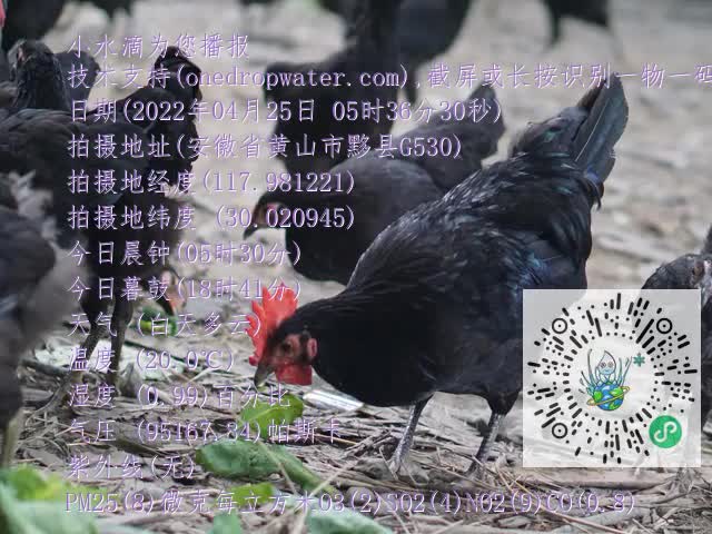 0.mp4