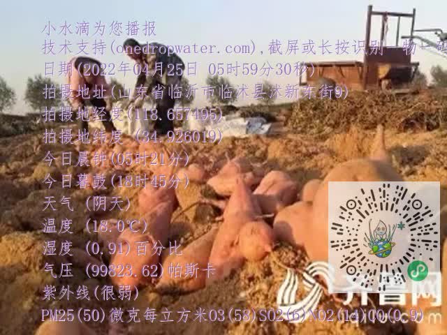0.mp4