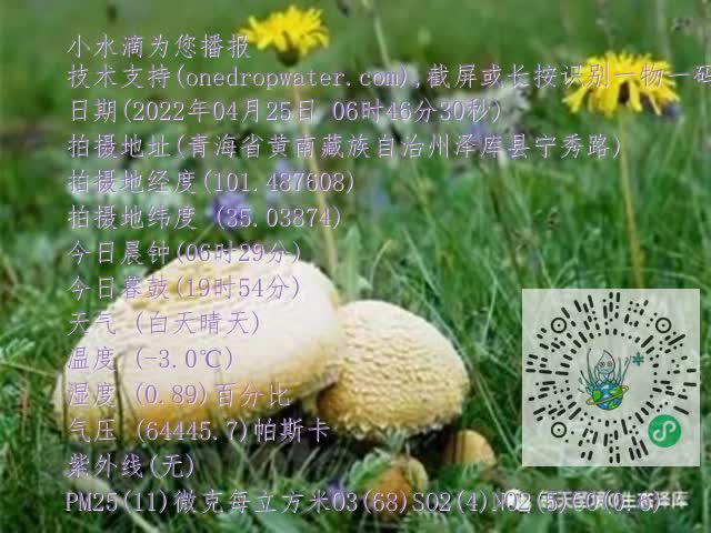0.mp4