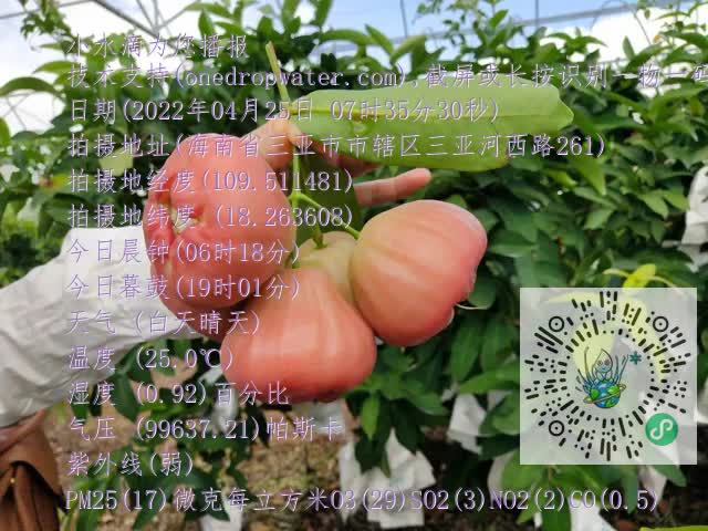 ea70551735311309afd40c2ff90052d2.mp4