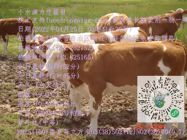 0.mp4
