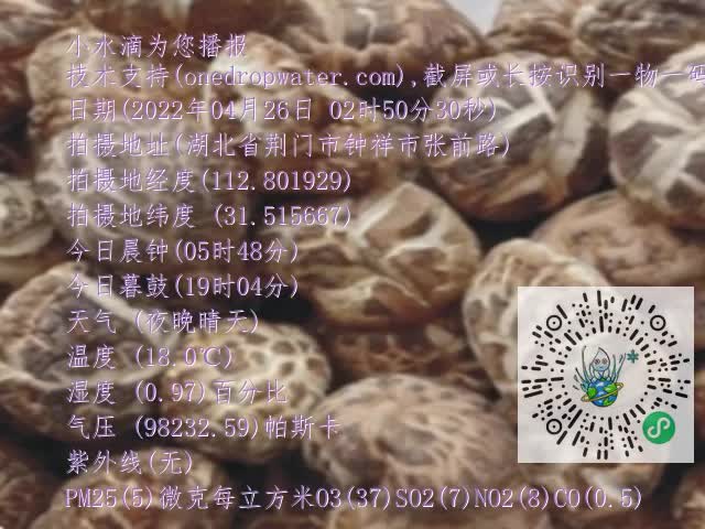 0.mp4