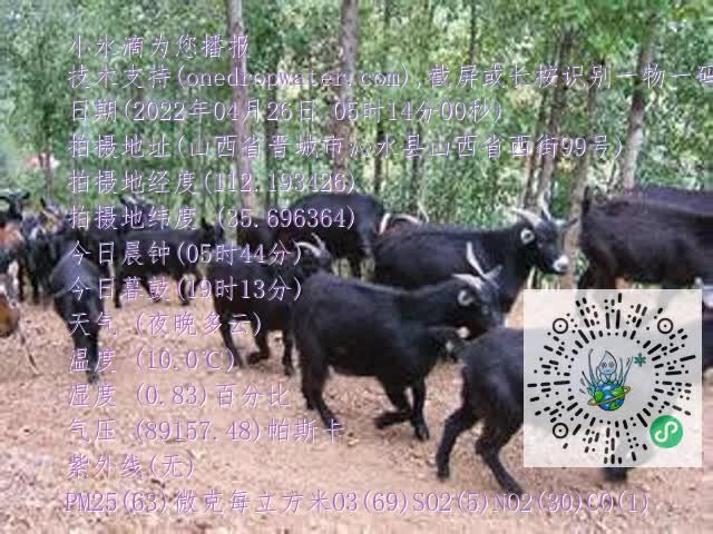 0.mp4
