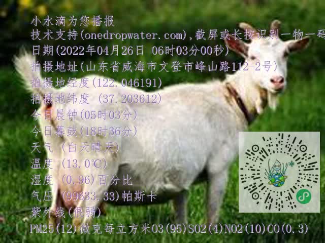 0.mp4
