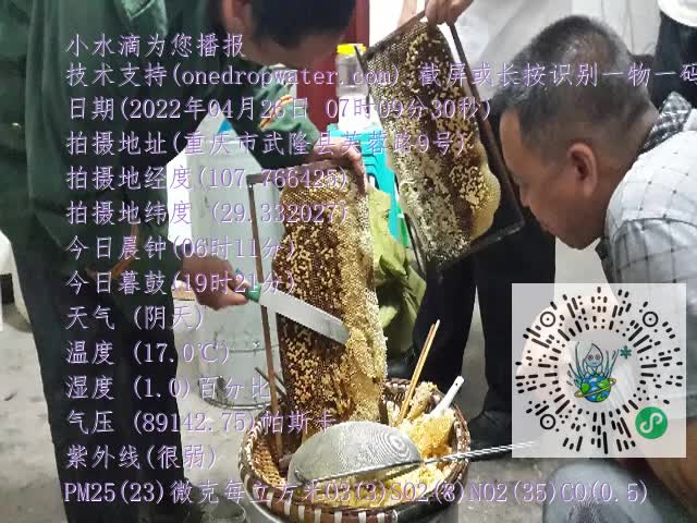 0.mp4