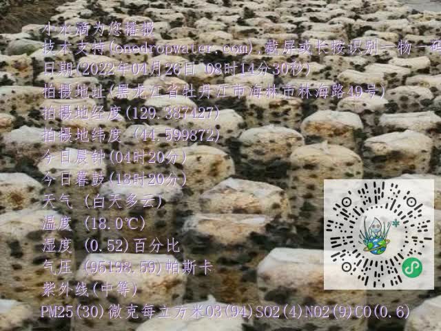 0.mp4