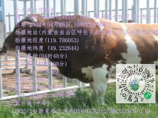 0.mp4