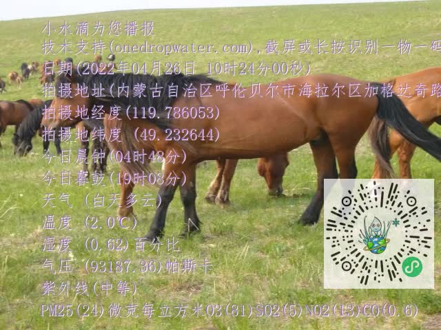0.mp4