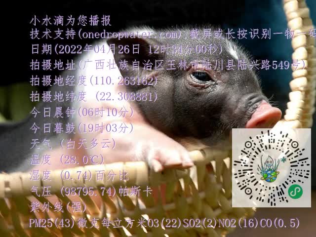 0.mp4