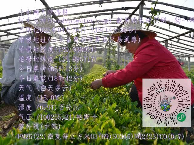 0.mp4