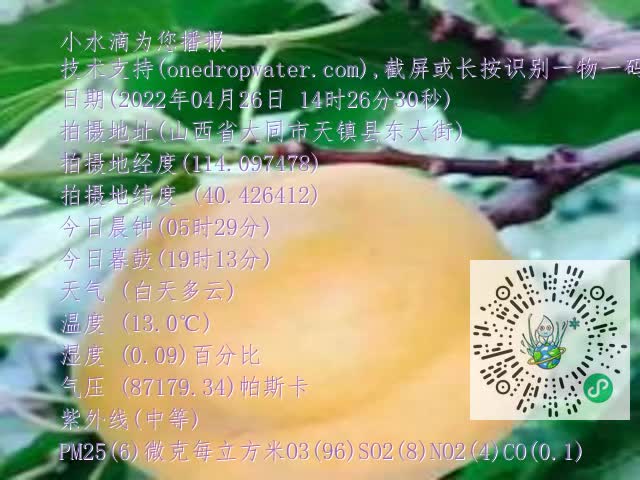 0.mp4