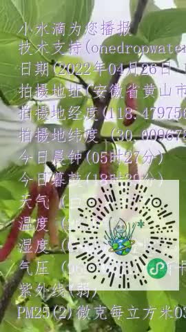 FhSzC3cjrTm8MIEBaoM6mw3Cp1Evmp4