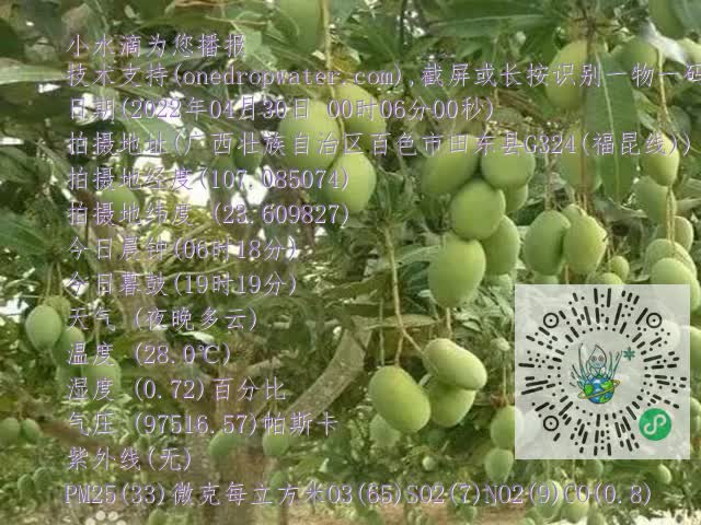 8ef11e115cff7ad3080e45ead4504c5b.mp4