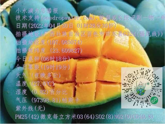 73494d77cb606d36ec27b666fd711518.mp4