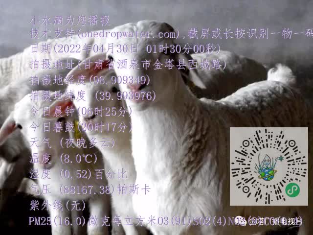 0.mp4