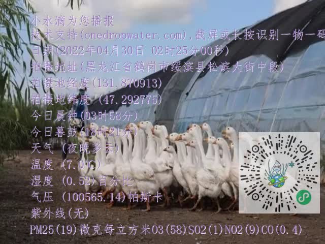 0.mp4