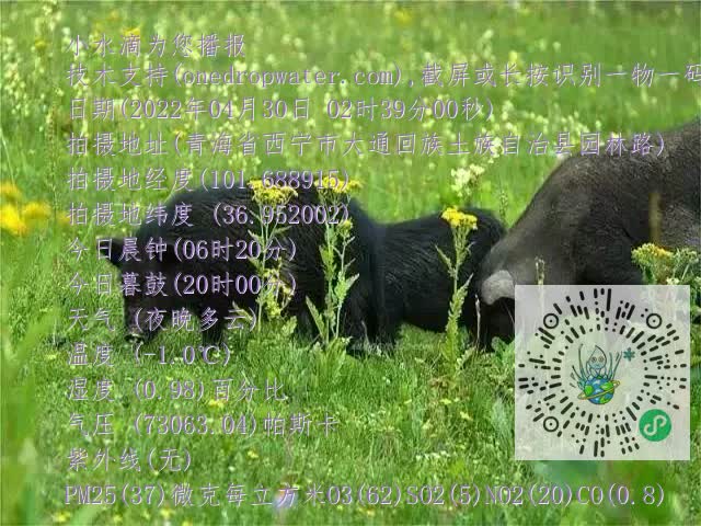 0.mp4