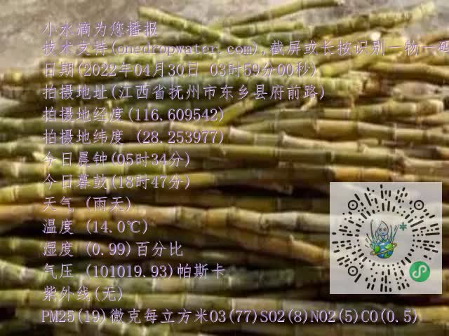 0.mp4