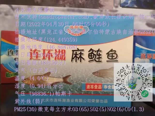 0.mp4