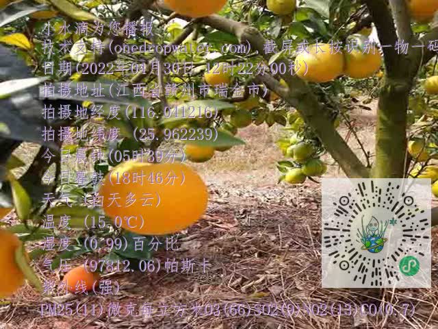 b9799b70a0fb44602c39408f71633394.mp4